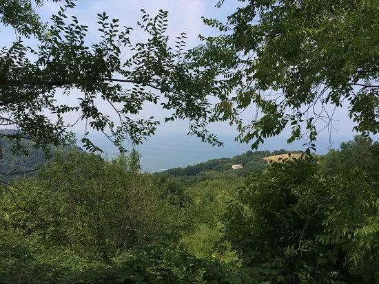 Fattoria Mancini