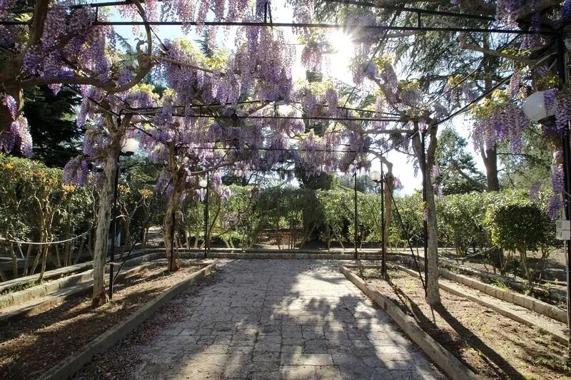 Peaceful luxury stay in Puglia with salt-water pool. Children and pet friendly.