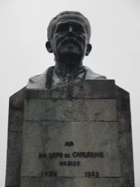 Busto Do Doutor Lopo De Carvalho