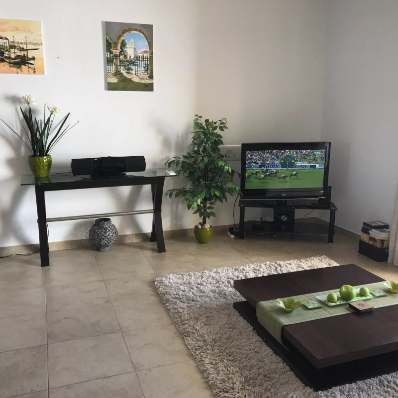 Quinta Das Palmeiras