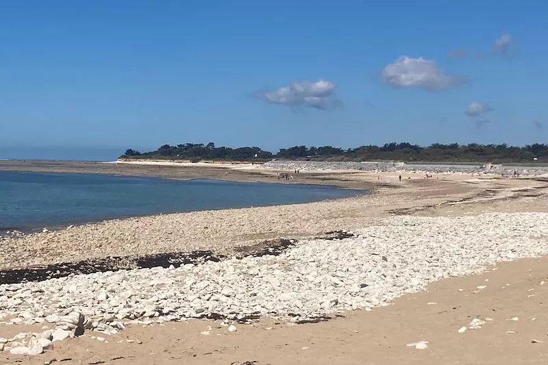 Ile de Ré house with garden 2 mns from the village and 10 mns walk from the
