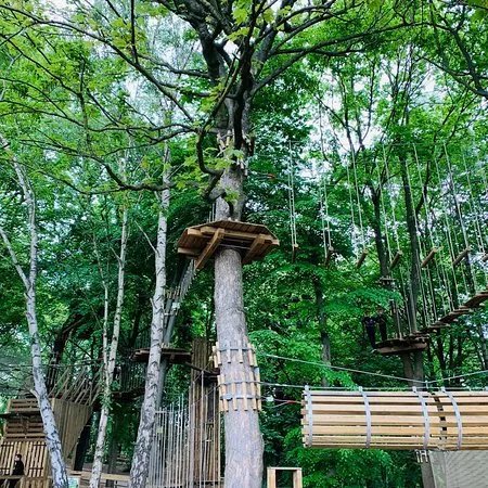 Go Ape