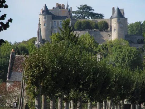 Chateau de Luynes