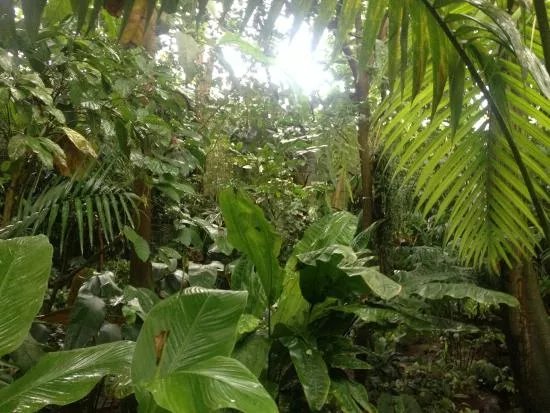 Okologisch-Botanischer Garten