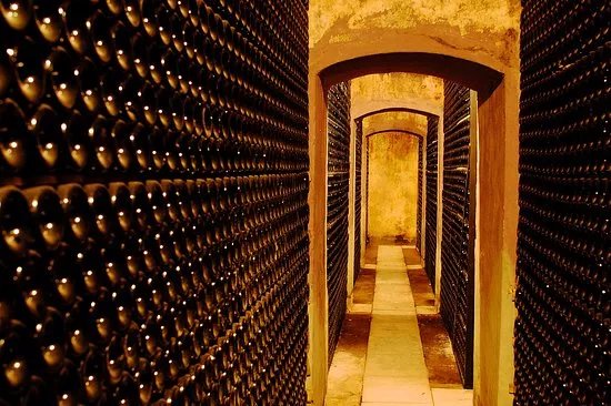 Bodega Pirineos