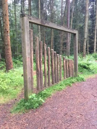 Templeton Woods