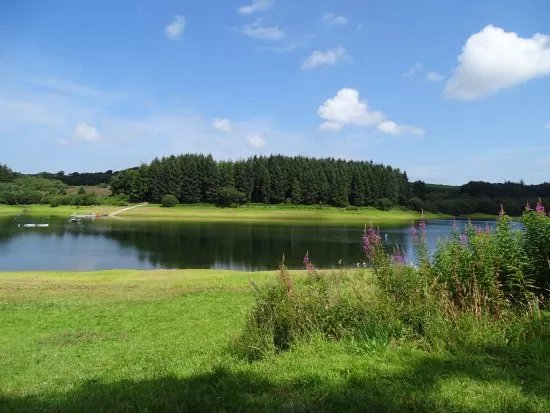 Wistlandpound