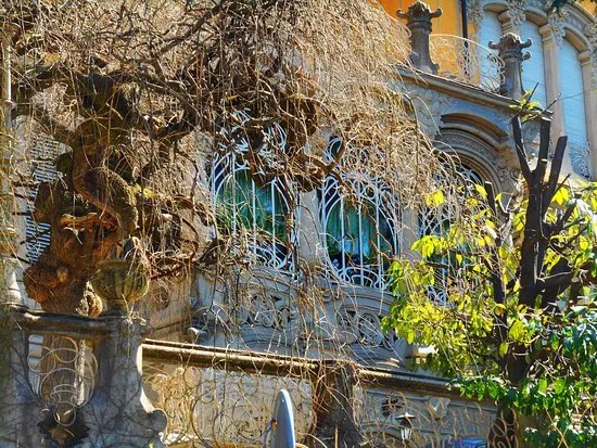 Villa Scott