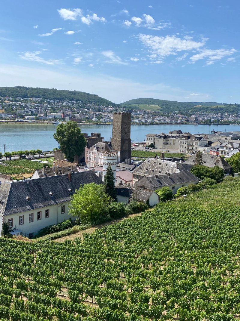 Asbach-Bad Rudesheim am Rhein