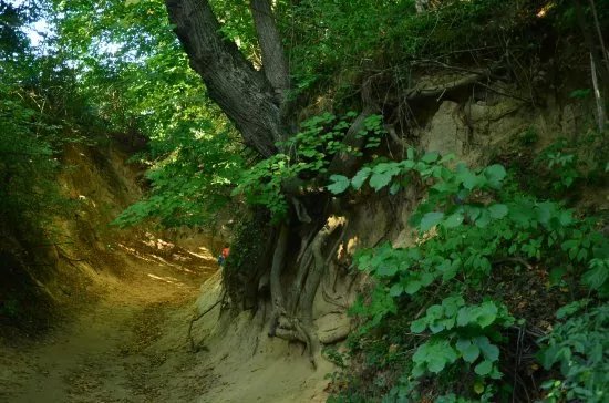 Korzeniowy Dol Gorge