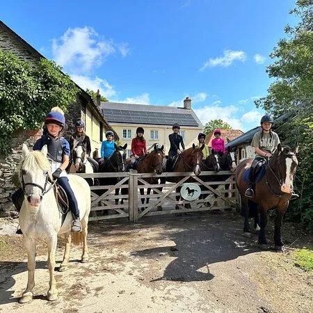 Pine Lodge Riding On Exmoor