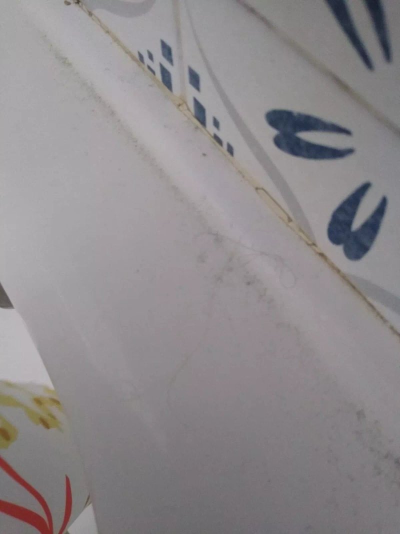 Apartamentos Penismar I