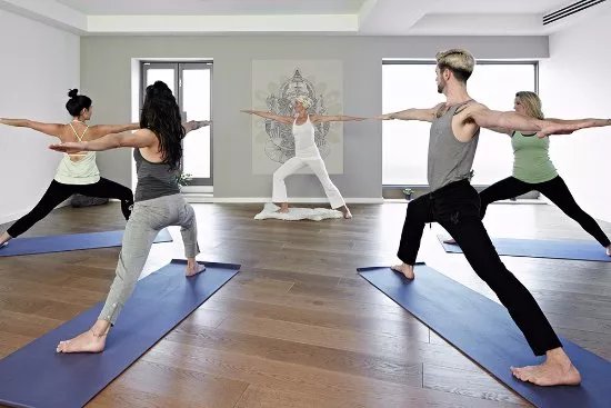 Samsara Mind and Body