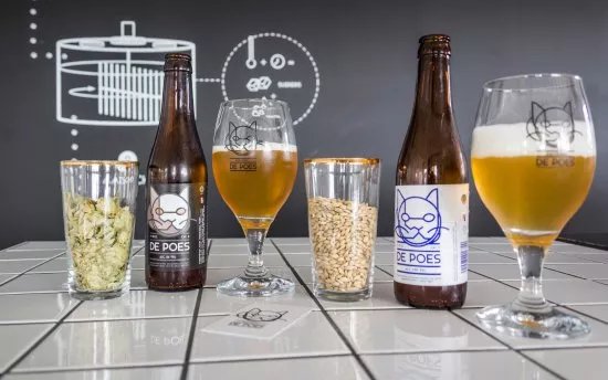 Brouwerij De Poes
