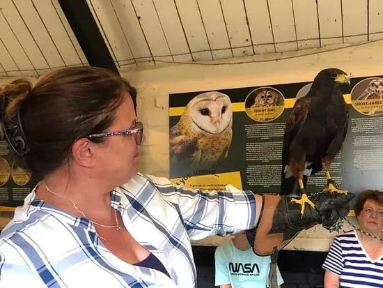 Yarak Bird Of Prey Centre