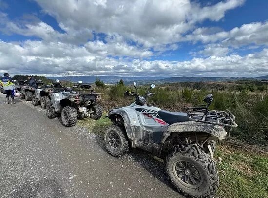 Quad 63