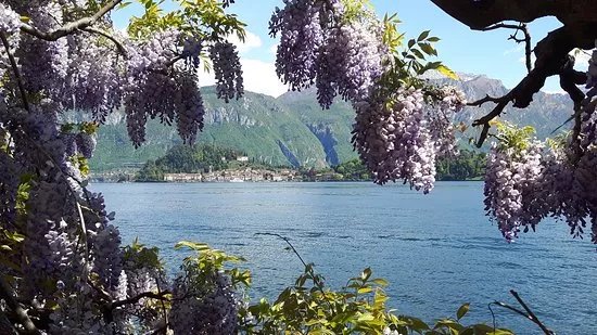 My Lake Como Concierge