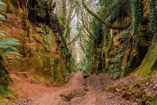 Symondsbury Estate