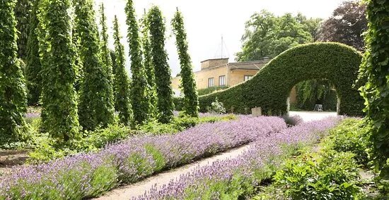 Humlemagasinet