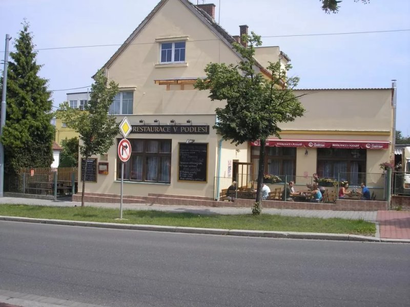 V Podlesi