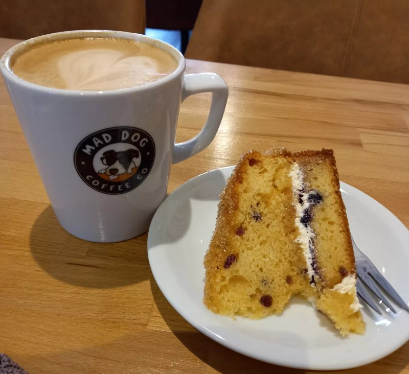 Mad Dog Coffee Lounge
