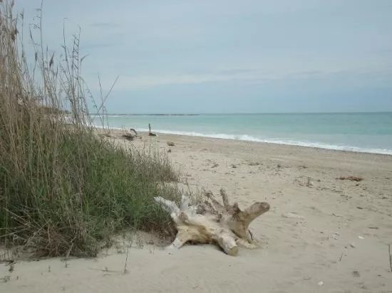 Riserva Naturale Regionale Sentina