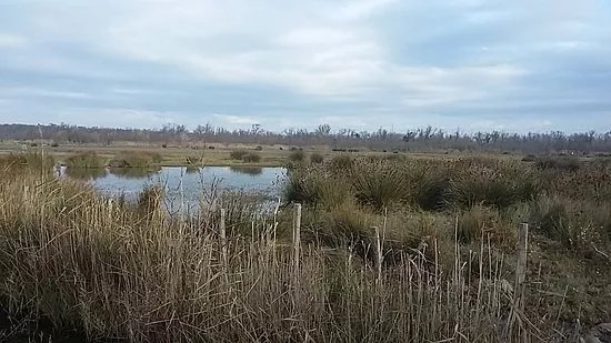 Parc Naturel Regional de Camargue