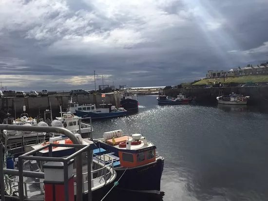 Unity Fishing Seahouses