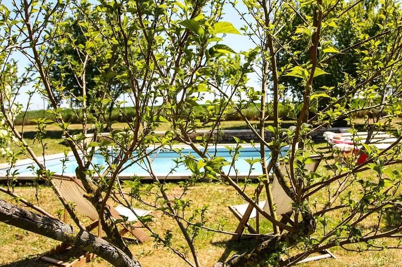 Cottage "Ile de Ré" with 7x7m pool, 20 minutes from the beaches