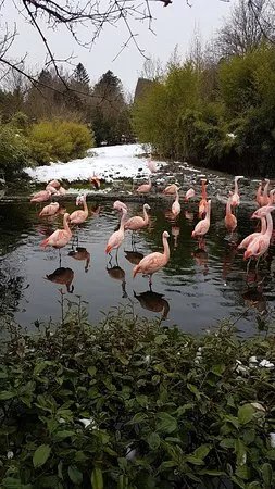 Zoo Zurich