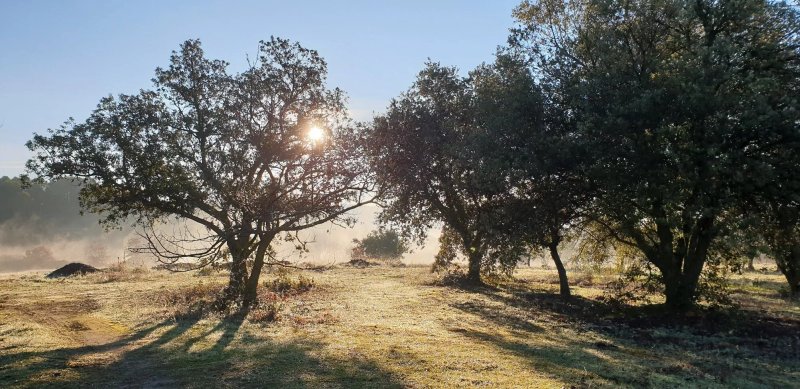 Les Bories De La Gariguette