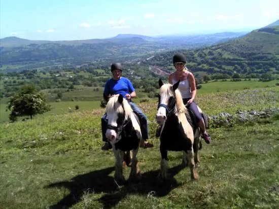 Wern Trekking and Riding Centre