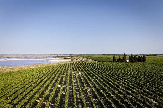 Domaine Royal de Jarras