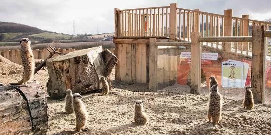 Lee Valley Animal Adventure Park