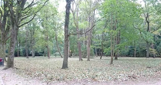 Park im. Jednosci Narodowej