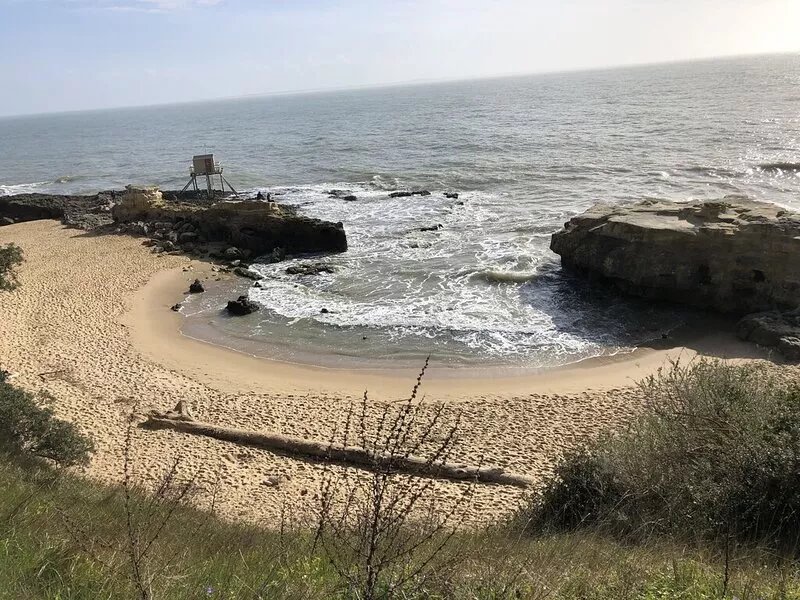 L'ombre d'un Pin entre deux Plages (center and beaches within walking distance