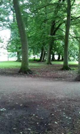 Ronneholmsparken