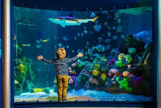 SEA LIFE Helsinki