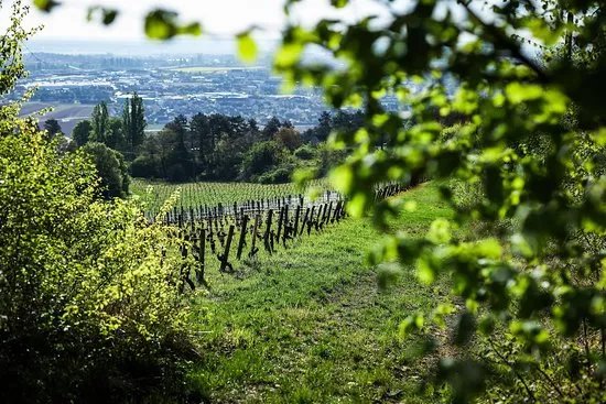 Domaine Emmanuel Giboulot