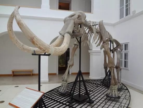 Matra Muzeum
