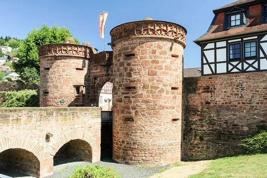 Sandrosenmuseum Buedingen
