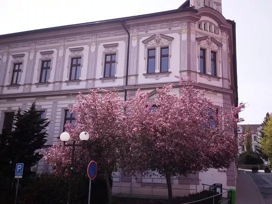 MEstska knihovna Pelhrimov
