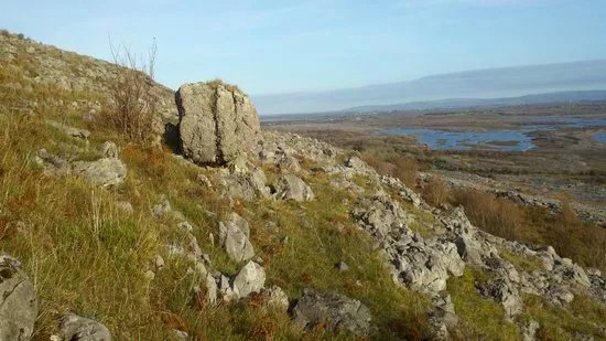 Burren Experience Guided Walks