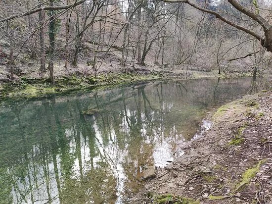 Retovje Springs