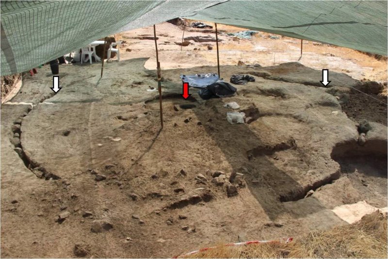 Complexo Arqueologico dos Perdigoes