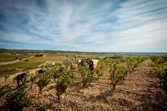 Domaine Boudau