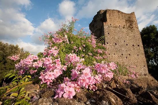 Torrecchia Vecchia
