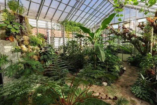 Jurassica Jardin Botanique