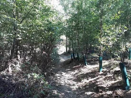 Parco Agricolo Nord Est