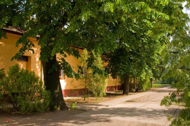 Bator Park Panzio